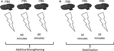 How to Design Optimal Accelerated rTMS Protocols Capable of Promoting Therapeutically Beneficial Metaplasticity